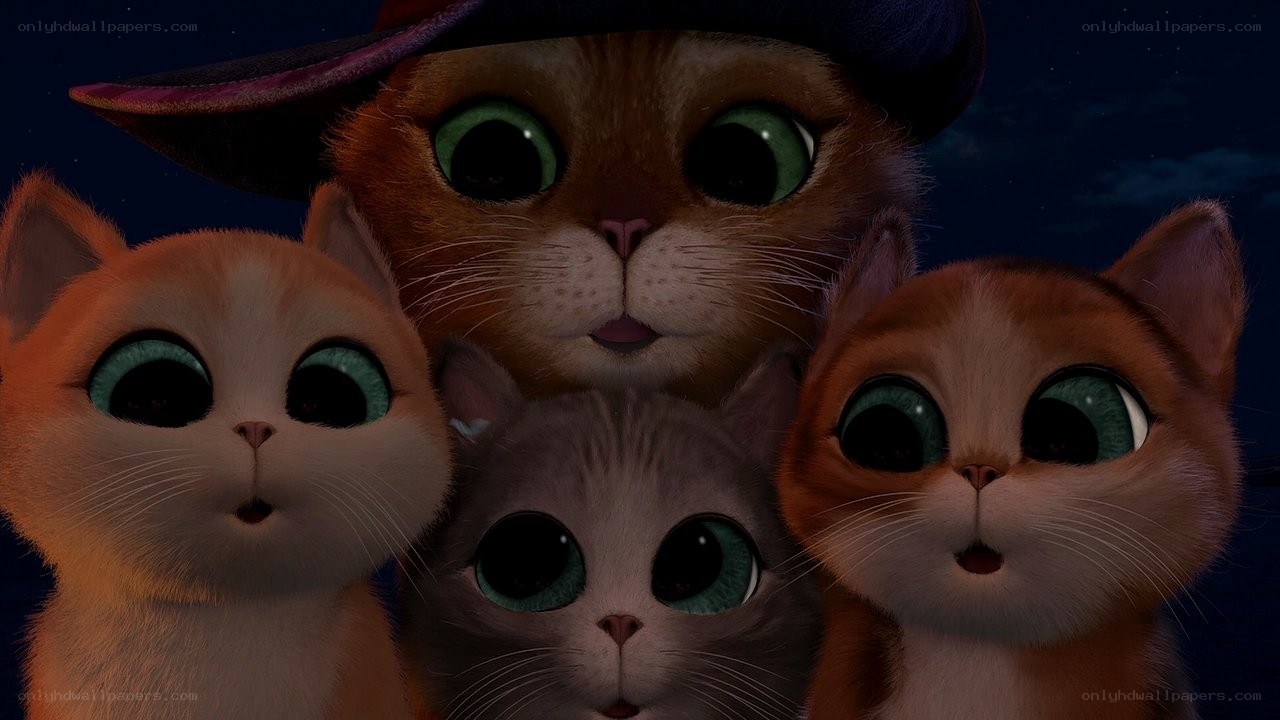 four kittens with big eyes