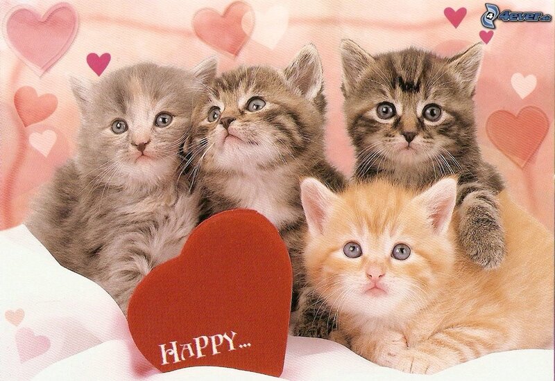 Four Kittens with Heart