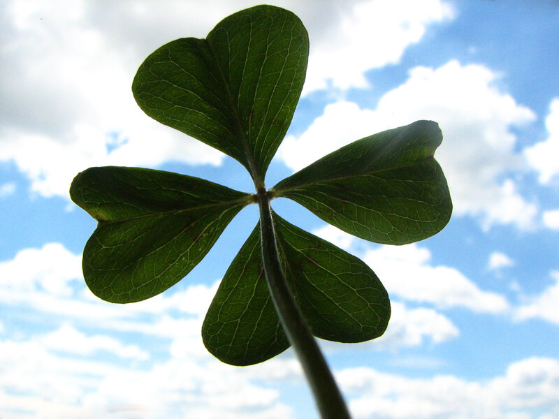 four-leaf clover against sky