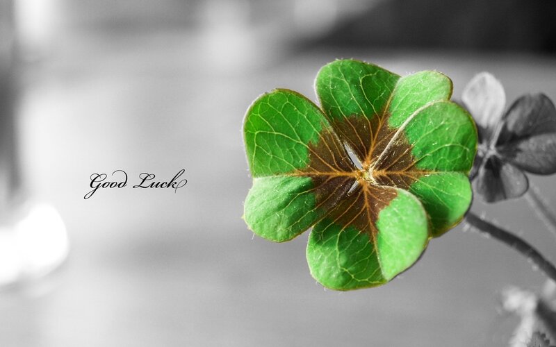 Four-leaf Clover — Green, Calm