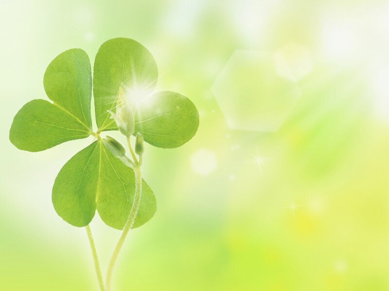 Four-leaf Clover — Green, Serene