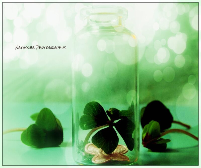 Four-leaf Clover in Bottle