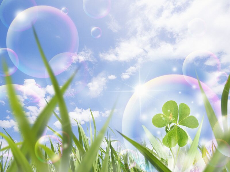 Four-leaf Clover in Grass