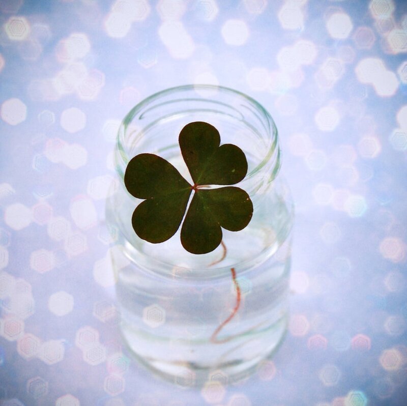 Four-leaf Clover in Jar