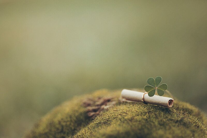 Four-leaf Clover on Scroll