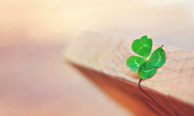 Four-leaf Clover on Wood — Green