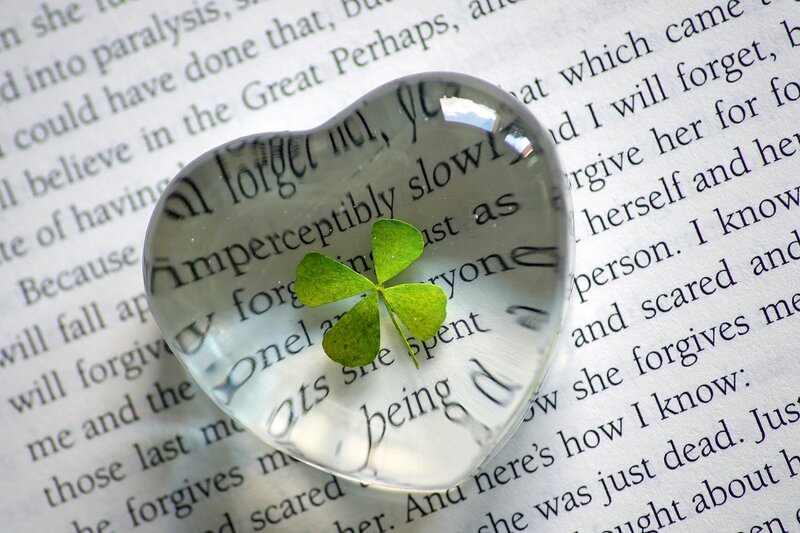 Four-leaf Clover under Glass