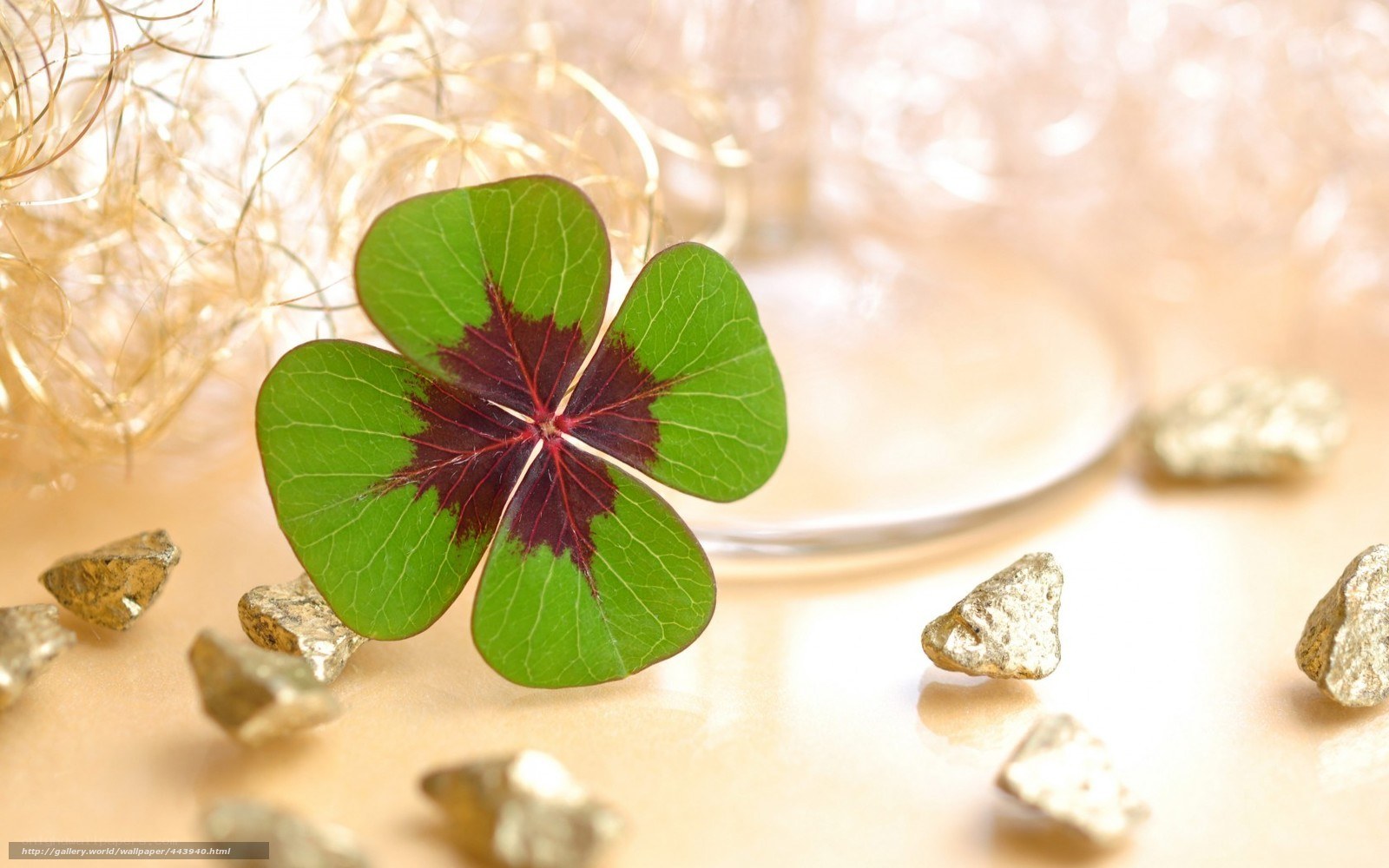Four-leaf clover with gold nuggets