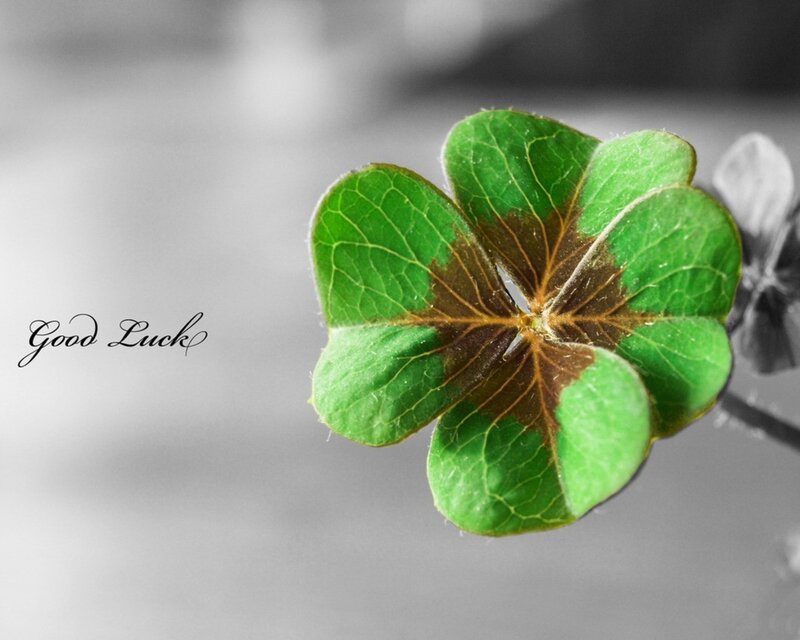 Four-leaf clover with good luck text