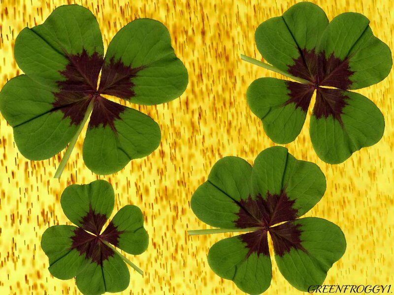 Four-leaf Clovers — Green