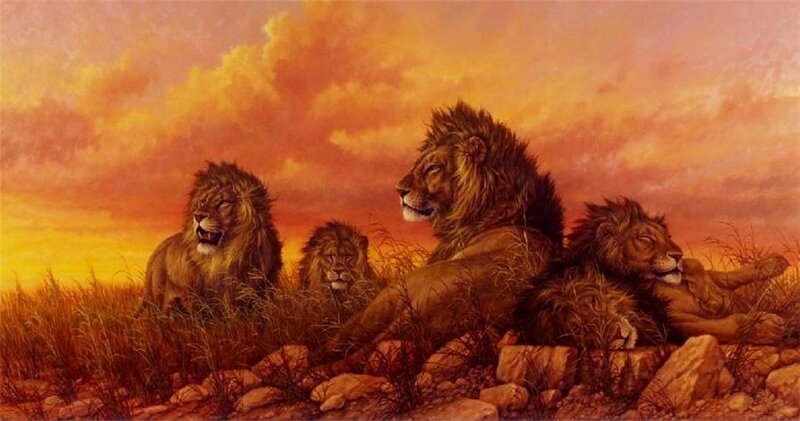 Four Lions in Savanna