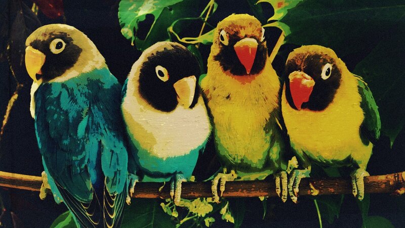 Four Lovebirds on a Branch — Green