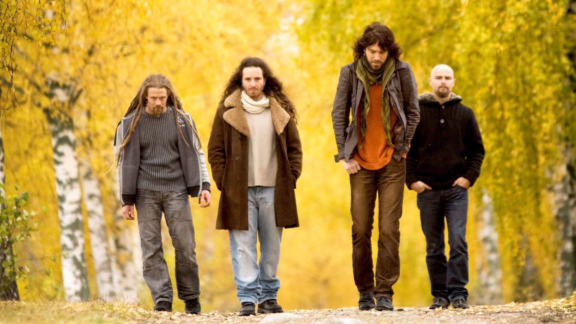 Four men walking in autumn forest