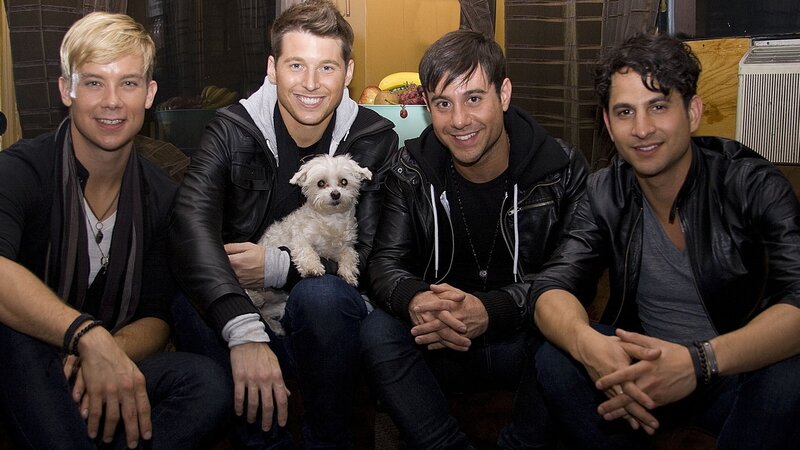Four men with a dog