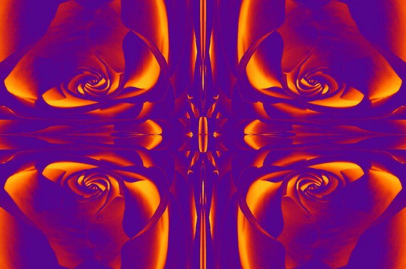 Four Mirrored Roses