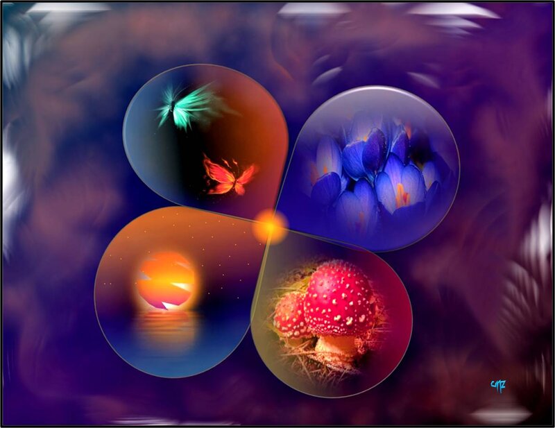 Four Nature Scenes in Circles