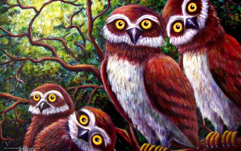 Four Owls in Tree