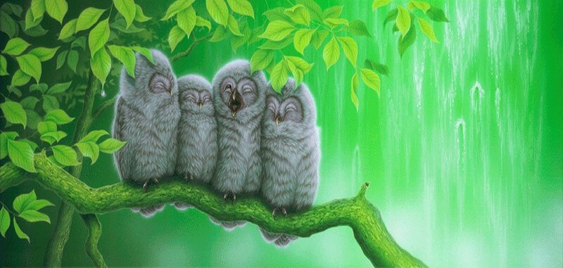 Four Owls on a Branch — Green, Serene