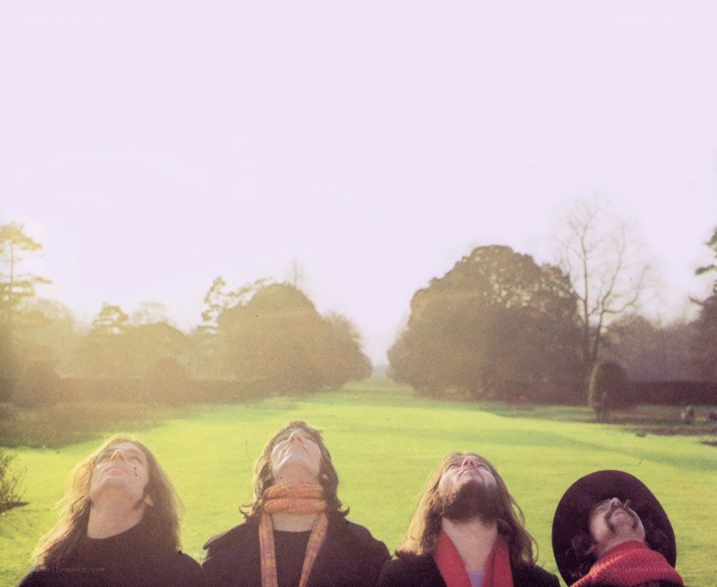 Four people looking up in a field