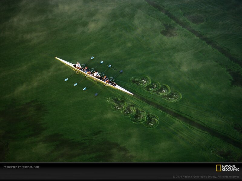 Four People Rowing Boat