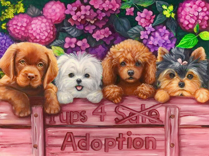 Four Puppies on Fence
