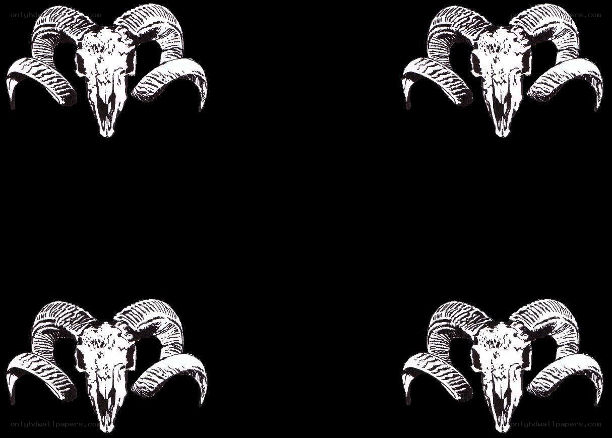 four ram skull illustrations