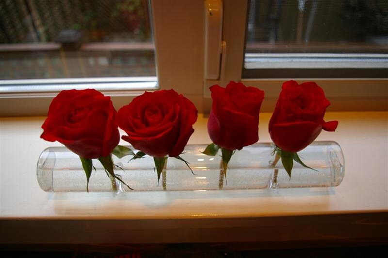 Four Red Roses in Vase