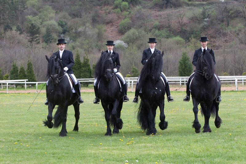 Four riders on black horses