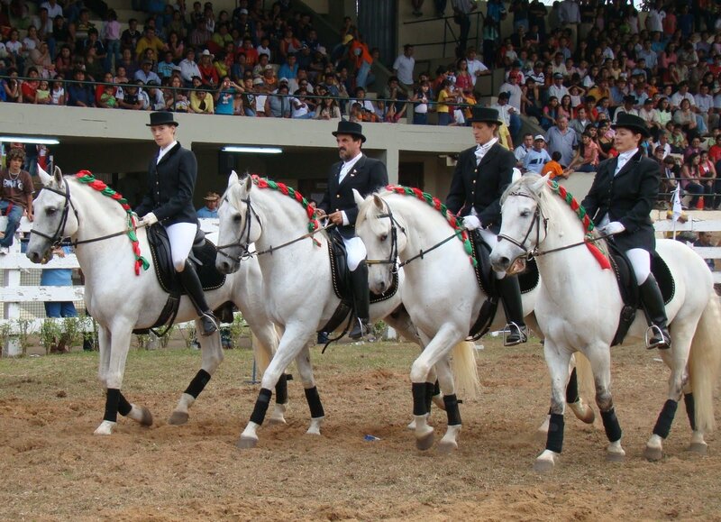 Four Riders on White Horses