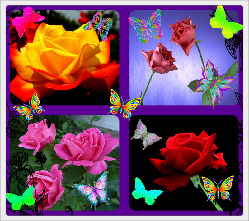 Four Roses with Butterflies
