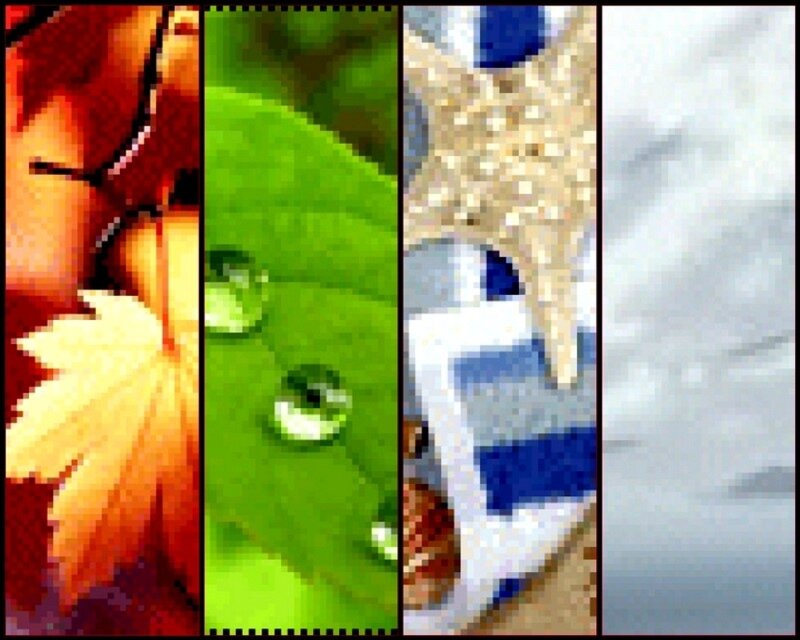 Four seasons collage