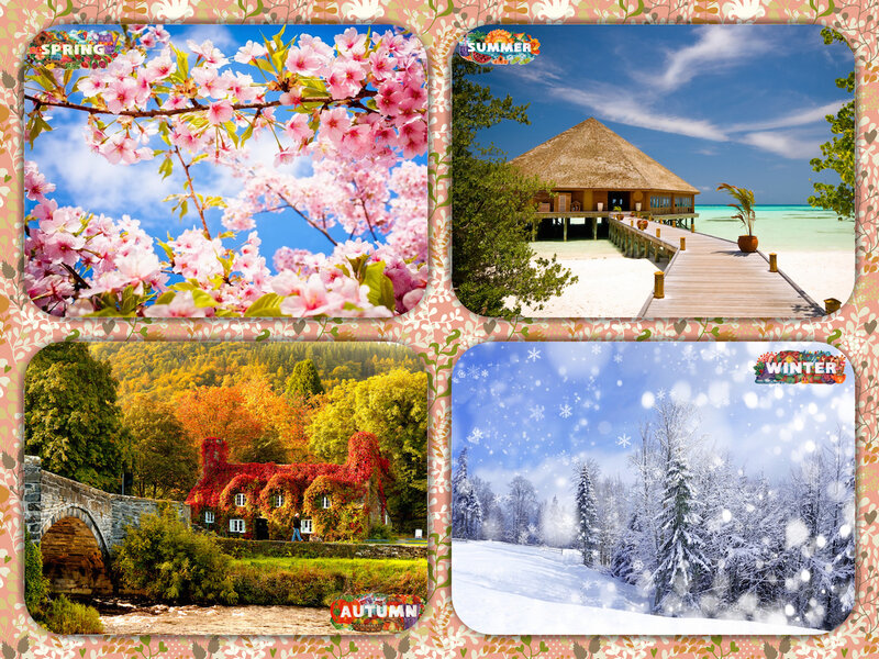 Four Seasons Collage — Pink