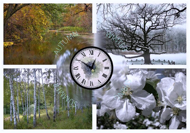 Four Seasons Collage — White, Serene, Autumn