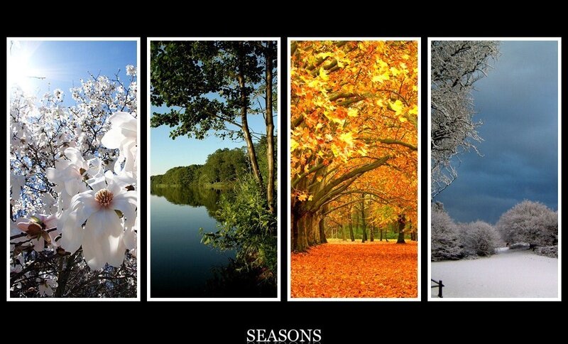 Four Seasons Collage — White