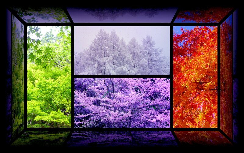 Four Seasons Forest Scenes