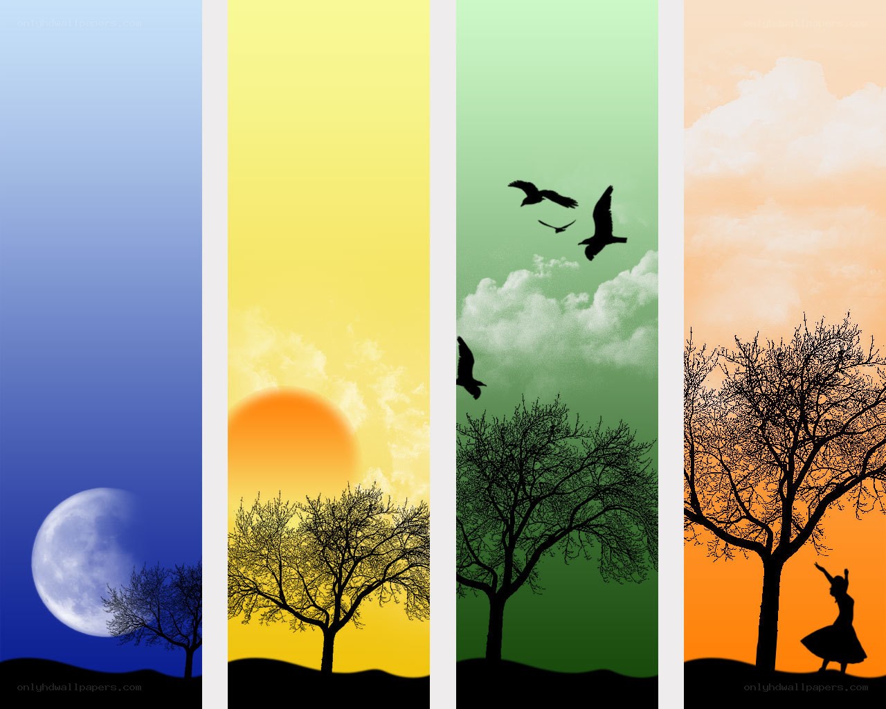 Four seasons landscape