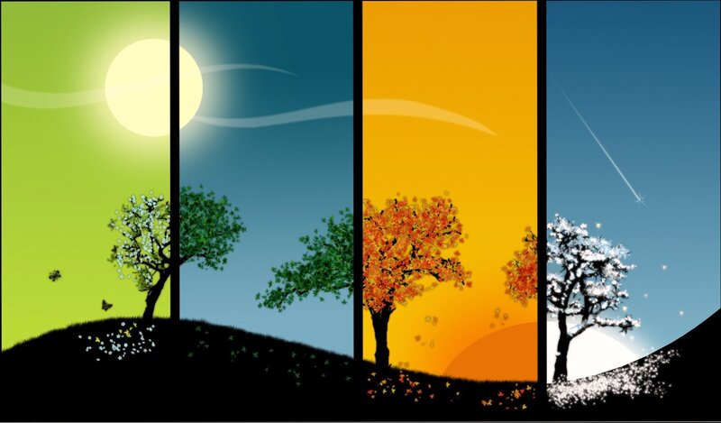 Four seasons landscape