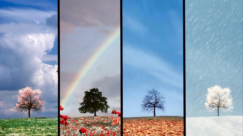 Four Seasons Landscape — Blue, Serene, Photograph