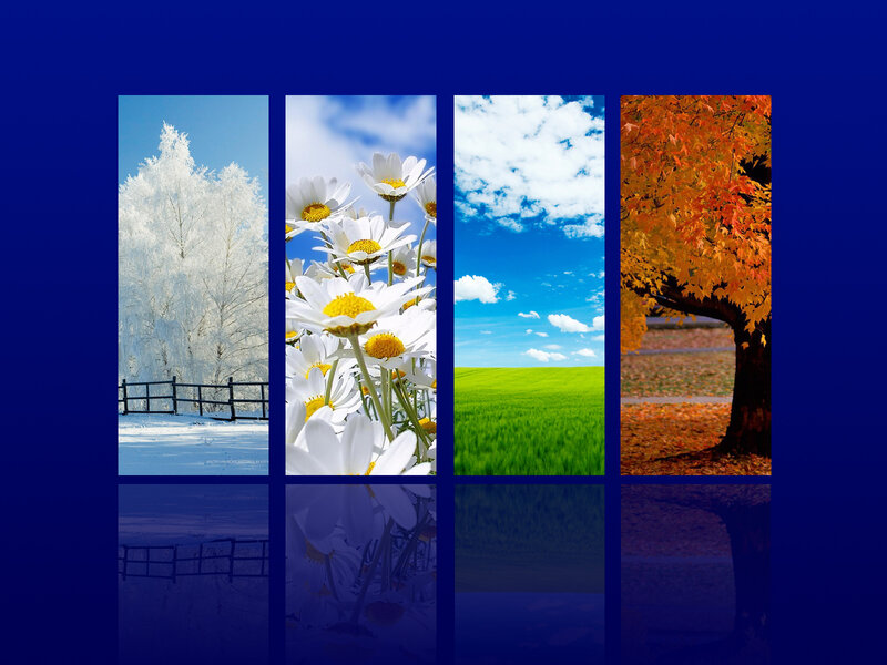 Four Seasons Landscape — Blue, Serene, Photograph, Trees