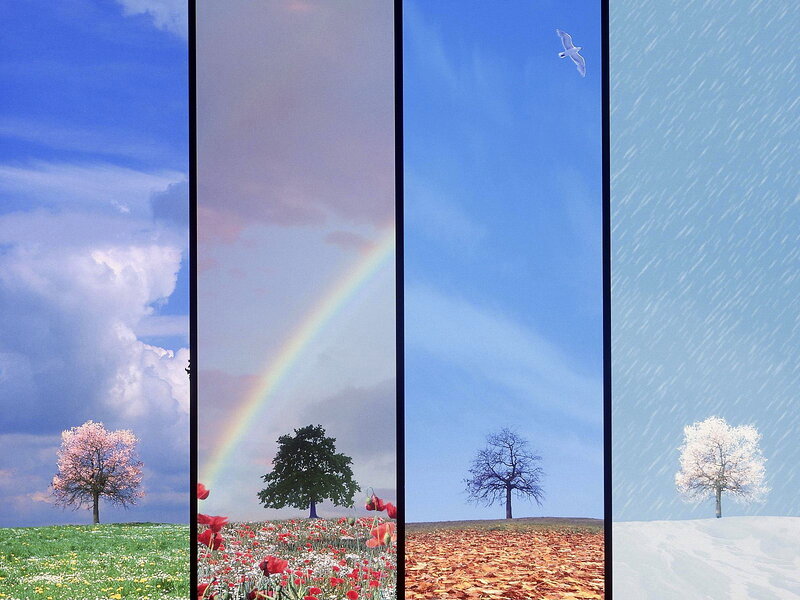 Four Seasons Landscape — Blue