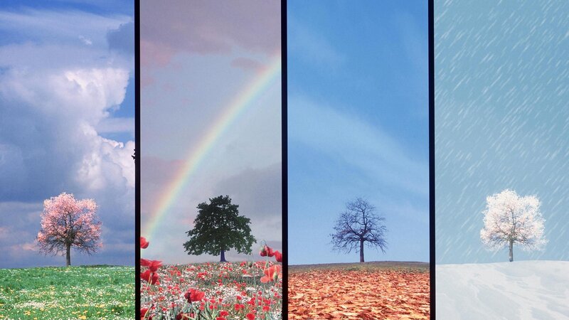 Four seasons landscape collage