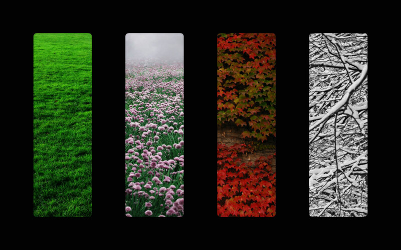 Four Seasons Landscape — Green, Serene