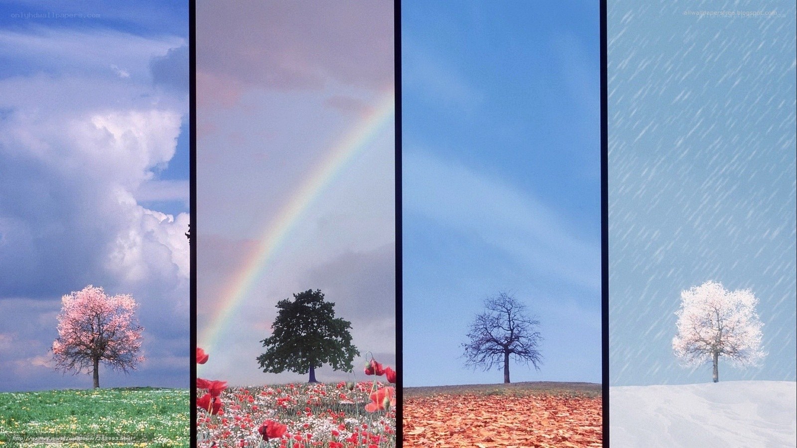 Four seasons landscape
