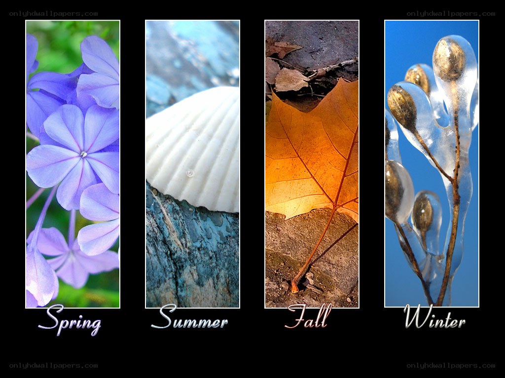 Four Seasons Nature Scenes