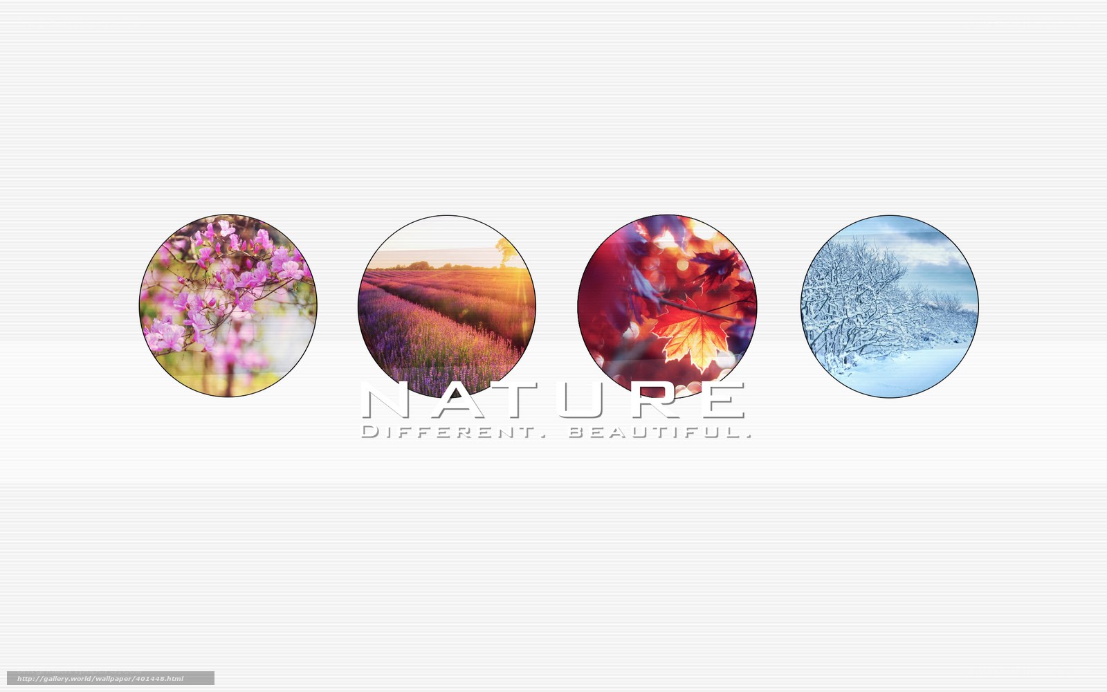 Four Seasons Nature Scenes