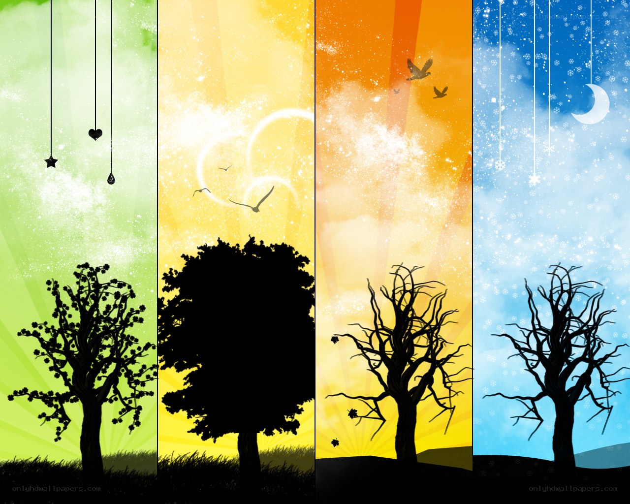 Four seasons of a tree
