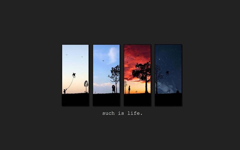 four seasons of life