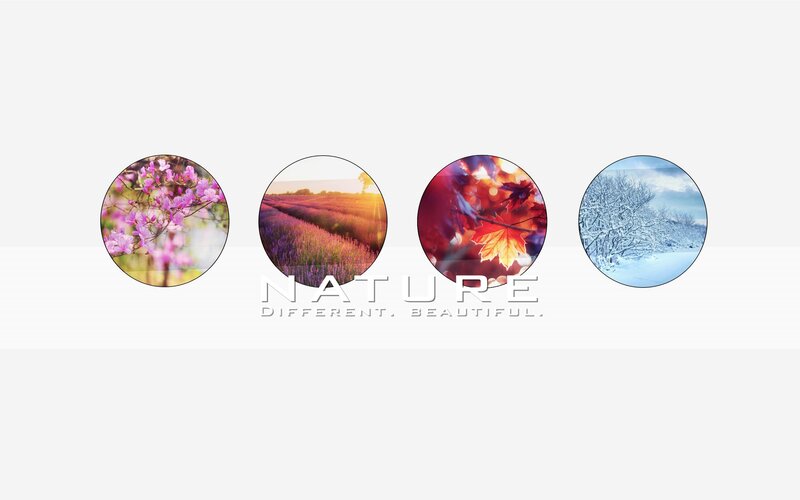 Four seasons of nature