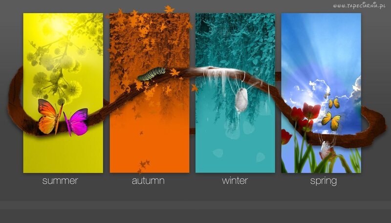 Four Seasons on a Branch