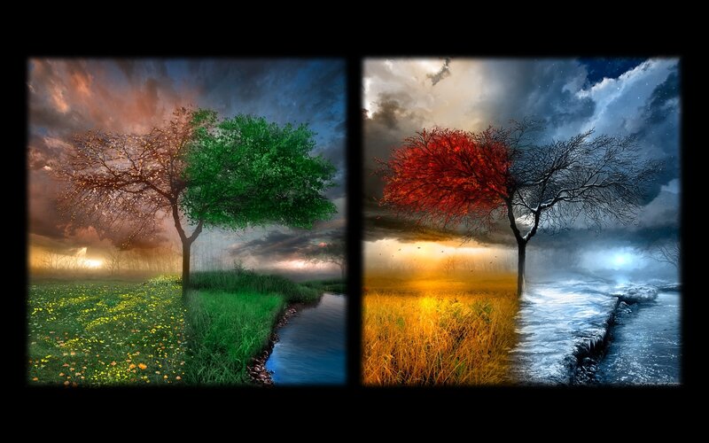 Four Seasons Tree Art